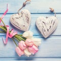 Two decorative hearts and tender white and pink spring tulips o Royalty Free Stock Photo