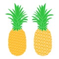 Two Decorative Illustrative Pineapples