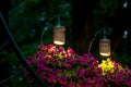 Two decorative lanterns for lighting hanging flowerpots with petunia flowers.