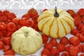 Two decorative pumpkins an Chinese lantern flowers