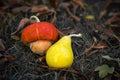 Two decorative pumpkins of different shapes on withered leaves. Autumn background