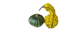 Decorative pumpkins on a white background, isolate of pumpkins of different shapes in yellow and green colors. Royalty Free Stock Photo