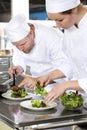 Two dedicated chefs prepares steak dish at gourmet restaurant Royalty Free Stock Photo