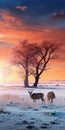 Stunning Winter Savanna Photography: Ethereal Trees In Desert Sunset