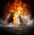 two deer stand in the water against the background of fire