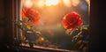 Two delicate pink roses basking in the warm glow of evening light during golden hour Royalty Free Stock Photo