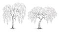 Two Delicate Weeping Willow Trees in Black and White Outline Royalty Free Stock Photo