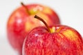 Two delicious apples Royalty Free Stock Photo