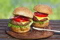 Two delicious burgers on wooden board