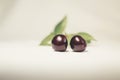 Cherries isolated in pastel background