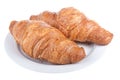 Two delicious croissants on a plate