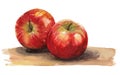Two Red Apples Watercolor Illustration