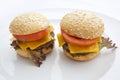Two delicious hamburgers on white background Royalty Free Stock Photo