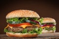 Two delicious hamburgers Royalty Free Stock Photo