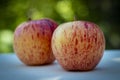 Two Delicious Red Apples Close Up Royalty Free Stock Photo