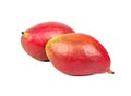 Two mango fruit Royalty Free Stock Photo