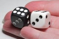 Two dice in hand on a white background. White and black dice in hand on a white background. Royalty Free Stock Photo