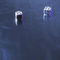 Two dice on silver background Royalty Free Stock Photo