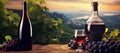 Two different bottles of wine, glass and bunches grapes on table with view of vineyard and sunset sky, natural banner