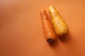 Two different carrots Isolated on orange background. Royalty Free Stock Photo