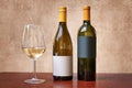 Two different kind of bottles of white wine and one glass Royalty Free Stock Photo