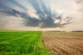 A field in spring time with two parcels of different colors