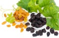 Two different raisins Royalty Free Stock Photo
