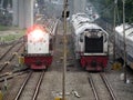 Two Different Types of Locomotives with Long Hood Forward