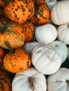 Two types of pumpkins in a Farmers Market in October Royalty Free Stock Photo