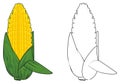 Two diiferent corns Royalty Free Stock Photo