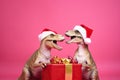 Two dinosaurs Rex in red Santa Claus hat holds golden gift box in its paws on pink background New Years Eve or Christmas Eve Art h Royalty Free Stock Photo