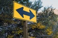 Two directional yellow arrow road sign, among fall colored leaves and a blue sky. Artistic angle. Concept for decision making