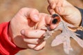 Hands Holding a Caterpillar in Nature Royalty Free Stock Photo