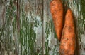 Two dirty carrots on old wooden table