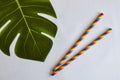 Two disposable colorful striped paper cocktail sticks and artificial monstera leaf on blue background. Eco friendly paper drinking Royalty Free Stock Photo