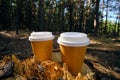 Two disposable cups for coffee in the forest on stump on a bright sunny day.Picnic in nature in forest Royalty Free Stock Photo