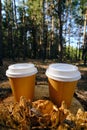 Two disposable cups for coffee in the forest on stump on a bright sunny day.Picnic in nature in forest Royalty Free Stock Photo