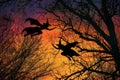 Two distinct witch silhouettes soar through a forest filled with trees, showcasing their flight with skill and grace, Flying