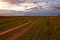 Two diverging dirt roads. A fork in two roads in a field in the late evening