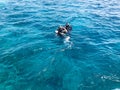 Two divers in black diving waterproof suits with shiny metal aluminum canisters float, immerse in blue sea water on vacation, crui Royalty Free Stock Photo