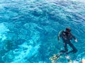 Two divers in black scuba diving suits, a man and a woman with oxygen bottles sink under the transparent blue water in the sea, th