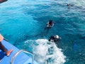 Two divers in black scuba diving suits, a man and a woman with oxygen bottles sink under the transparent blue water in the sea, th Royalty Free Stock Photo