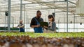 Two diverse organic farm workers using laptop with agricultural management software and pointing at rows with lettuce