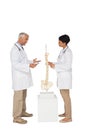 Two doctors discussing besides skeleton model Royalty Free Stock Photo