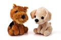 Two dog toys Royalty Free Stock Photo