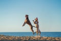 Two dogs on the beach. Active pit bull terrier jumping on the background of the sea