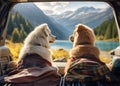 2 dogs sitting in car out looking at mountains