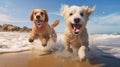 Two Dogs Enjoying A Fun Day At The Beach