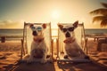 Two dogs in glasses lie on sunbeds on the sand on the beach near the ocean, tropics and sea, palm trees weekend summer vacation, Royalty Free Stock Photo