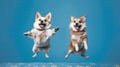 Two Dogs Happy Cute On Blue Background. Generative AI